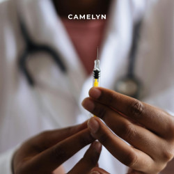 Camelyn – M1